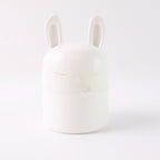 Adorable Bunny Multipurpose Kitchen Storage Box (1 Pc)